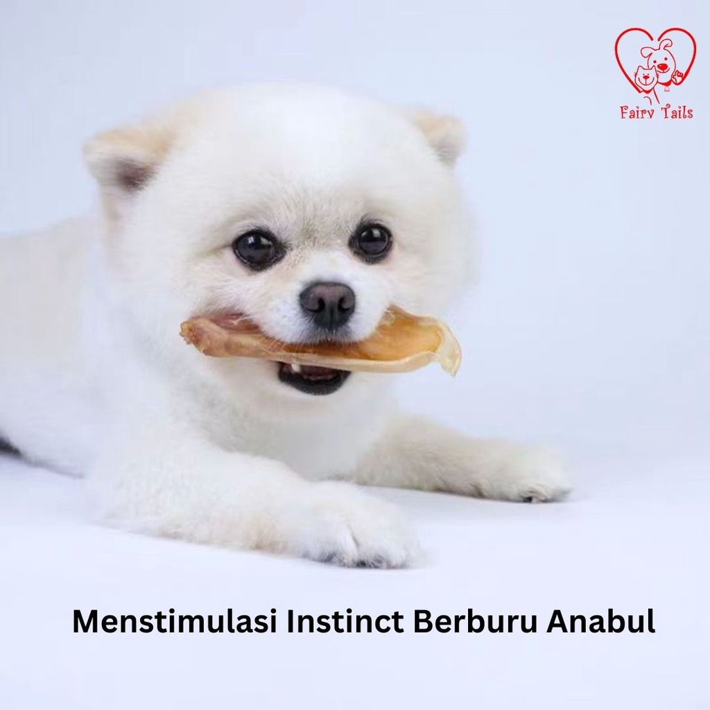 Snack Telinga Kelinci Dan Ayam Segar Rupert’s Choice Untuk Anjing [Premium German Quality] Cemilan Sehat Kuping Kelinci Untuk Anabul / Rabbit Ear and Chicken Snack for Dog Pet