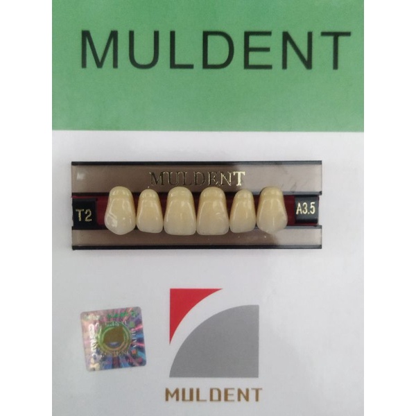 GIGI PALSU / GIGI MULDENT - DEPAN ATAS / PER BARIS ISI 6PCS / UKURAN T2 : A3.5