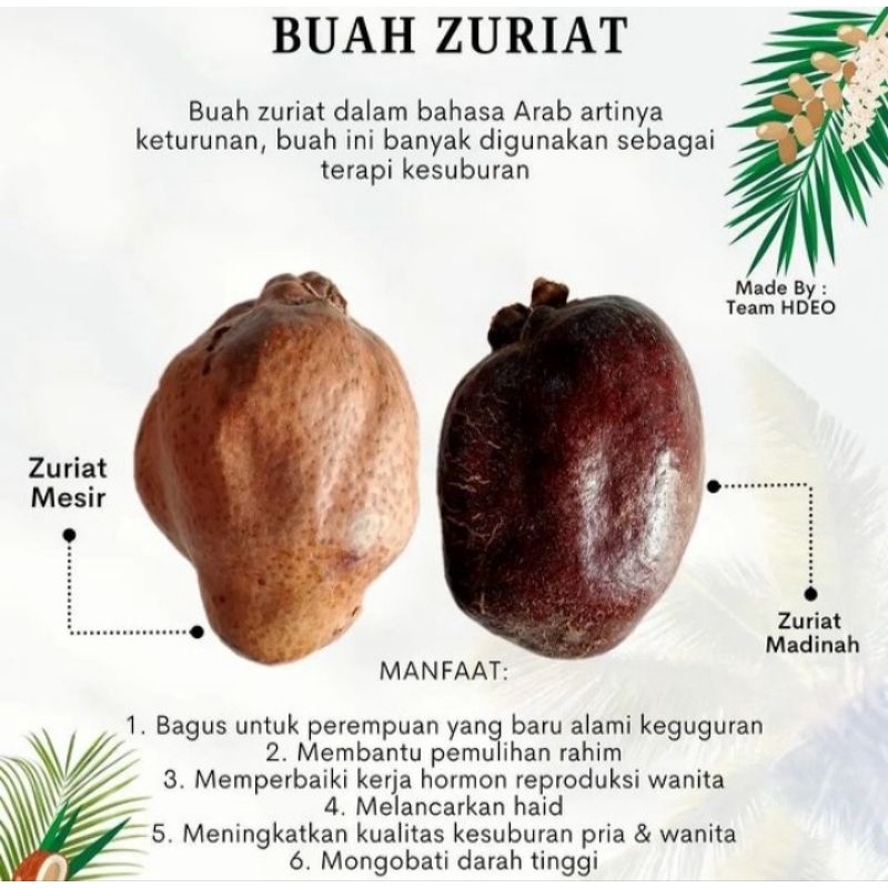 

Buah Zuriat Medinah