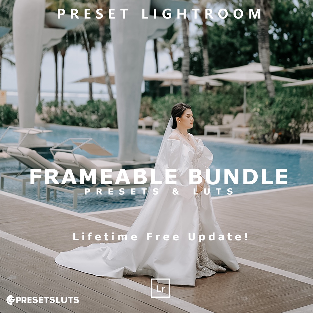 Original Frameable FULL Collection Presets & LUTs || Lifetime Free Update Adobe Premiere Davinci Lig