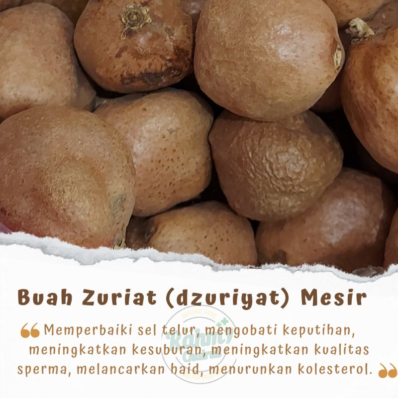 

MURAH 500 gr Buah Dzuriat Mesir / Buah Zuriat / Buah Doum / Buah Adam Hawa / Buah Zuriyat Promil