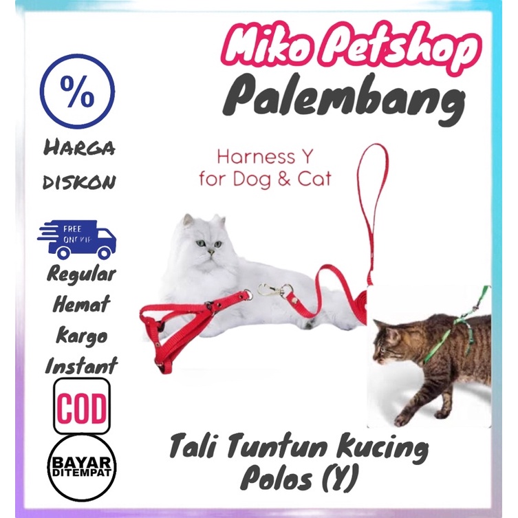 Tali Tuntun kucing Model Y