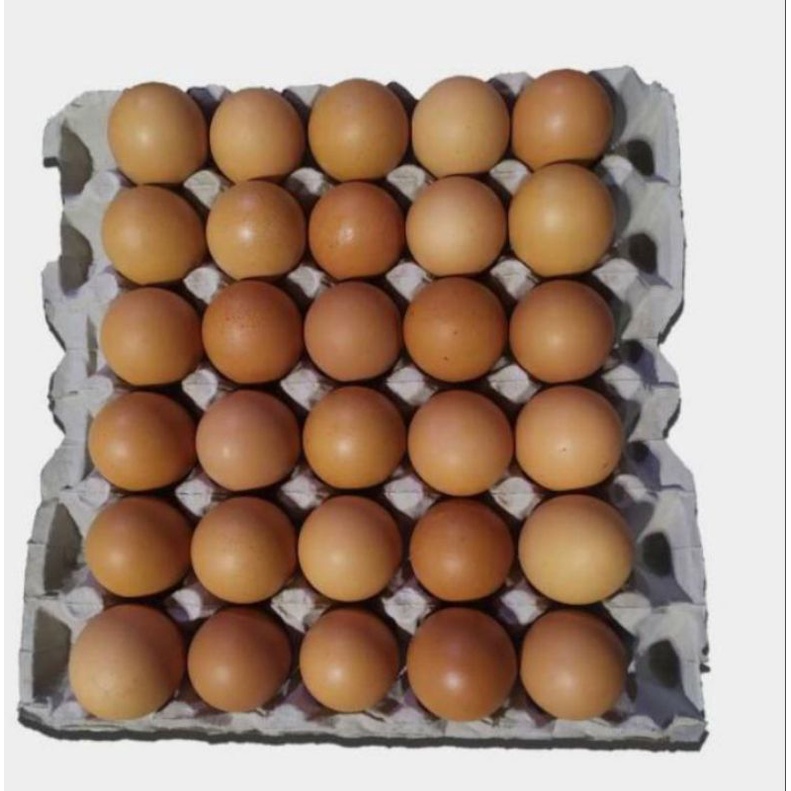 

TELUR AYAM MENTAH FRESH