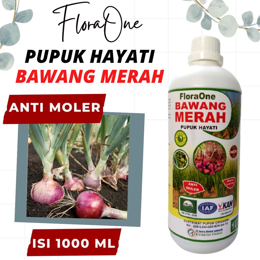 Pupuk Bawang Merah Cair Masa Pertumbuhan, Fungisida Hayati Bawang Anti Moler