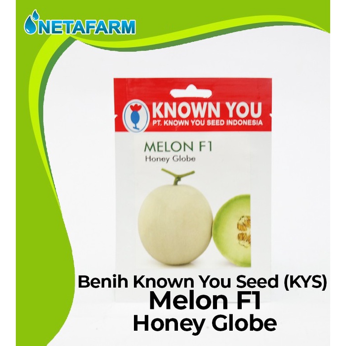 Benih / Biji / Bibit KNOWN YOU SEED KYS MELON F1 - 1 Pack
