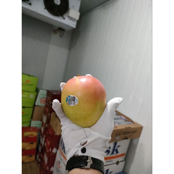 

king Manggo Ausy mangga manis