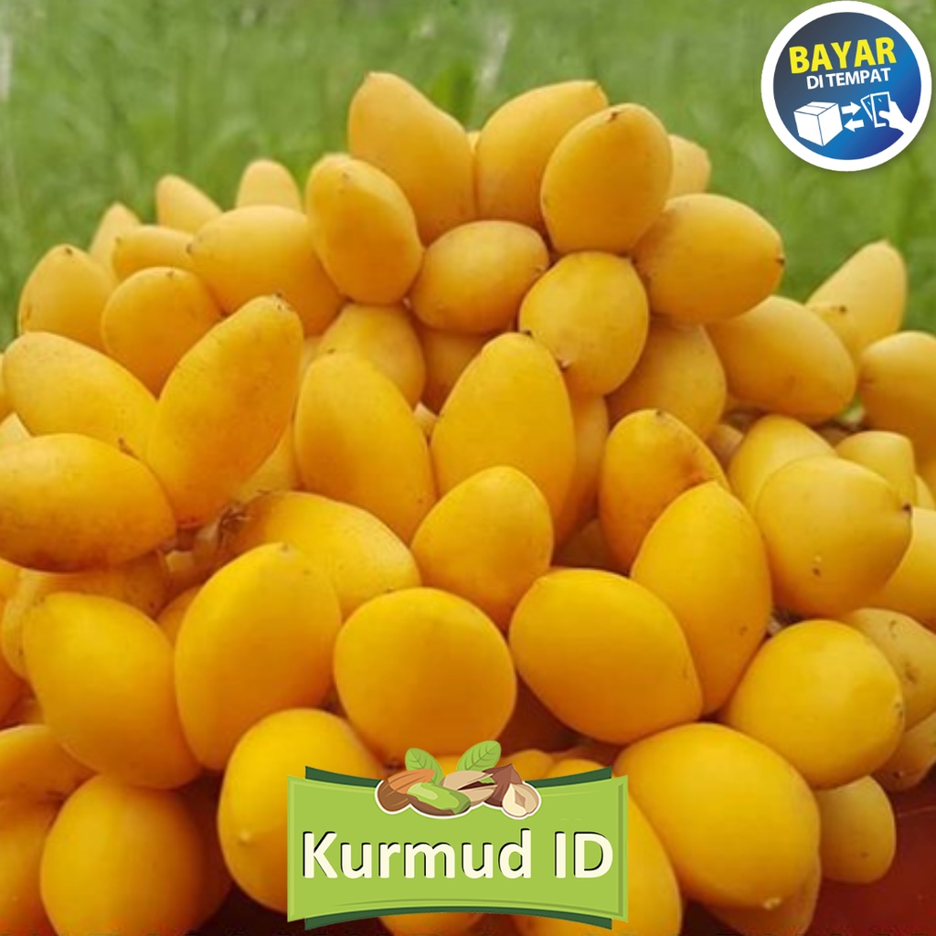 Kurma Muda  Merah Kuning Dan Merah  promil termurah 1000 Gram Kurma Siwi