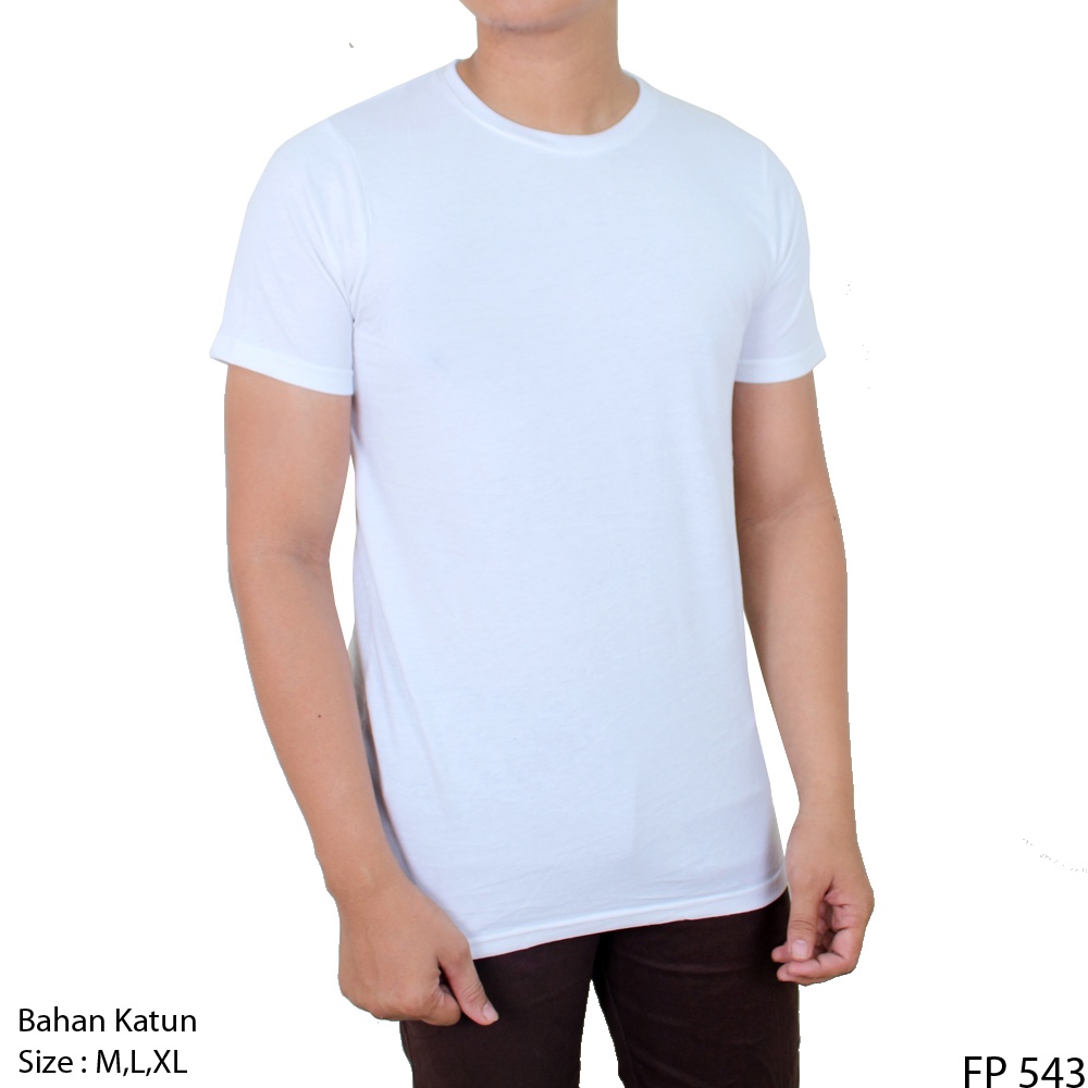 Kaos Lengan Pendek Simple Elegan Pria PLS 120