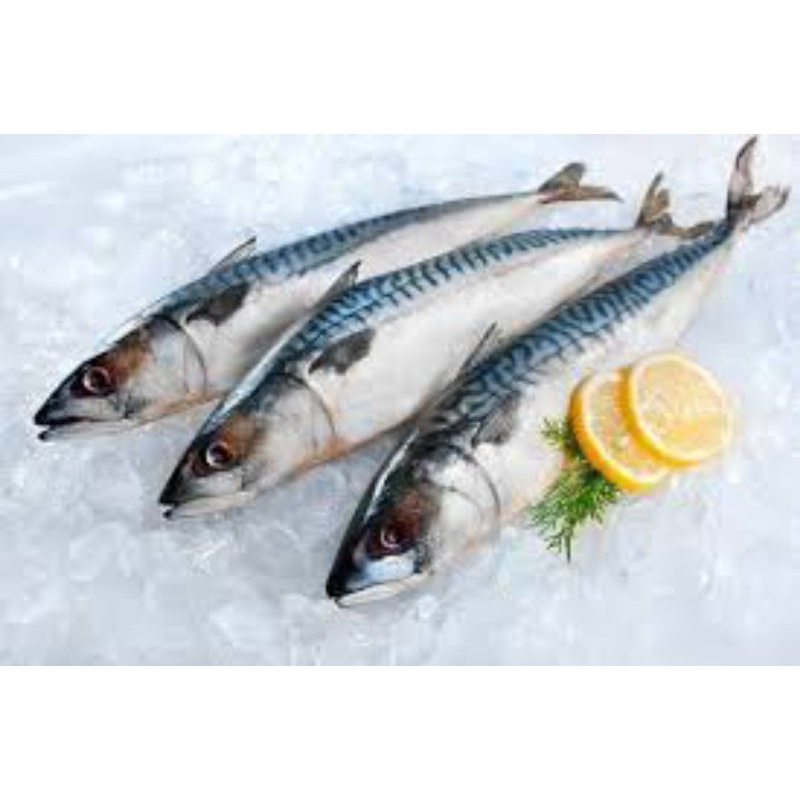 

IKAN TENGIRI FRESH 1000gr
