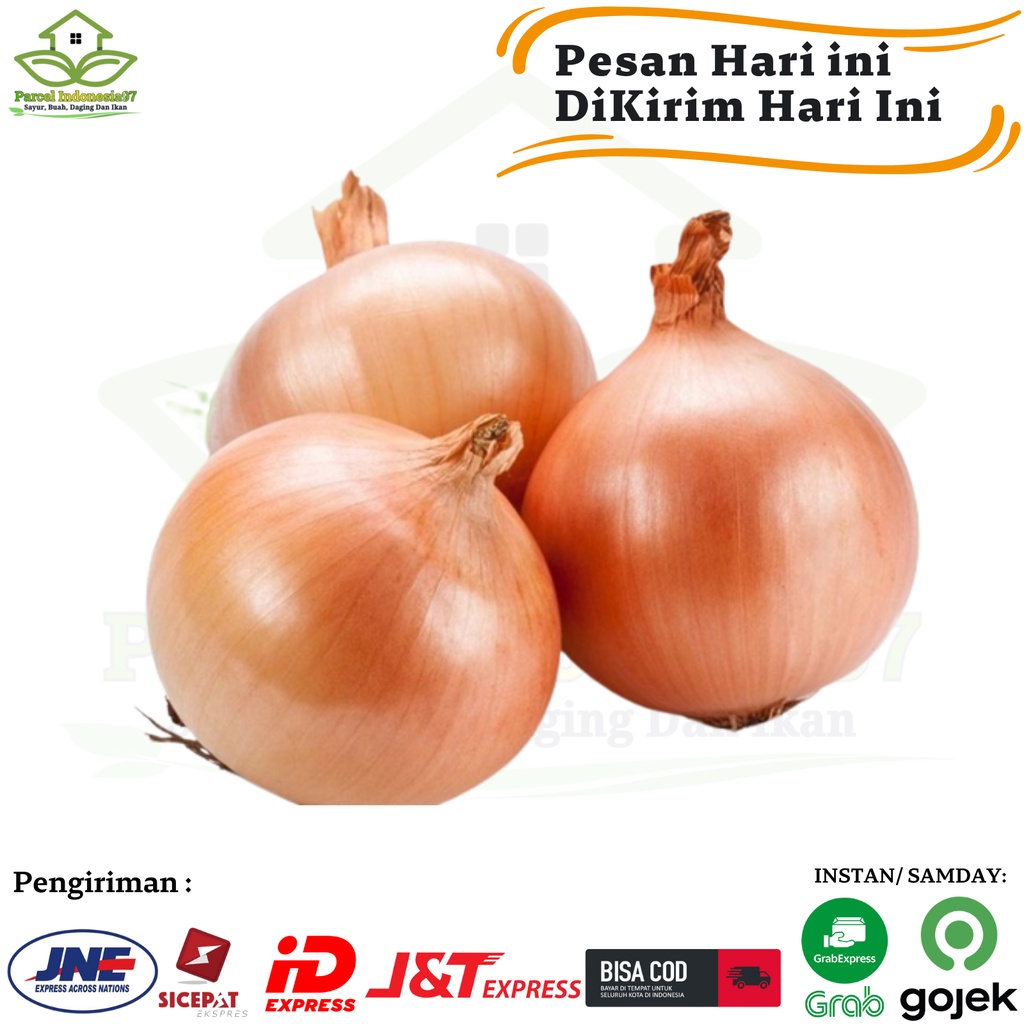 

Bawang bombay 250gr pasar murah