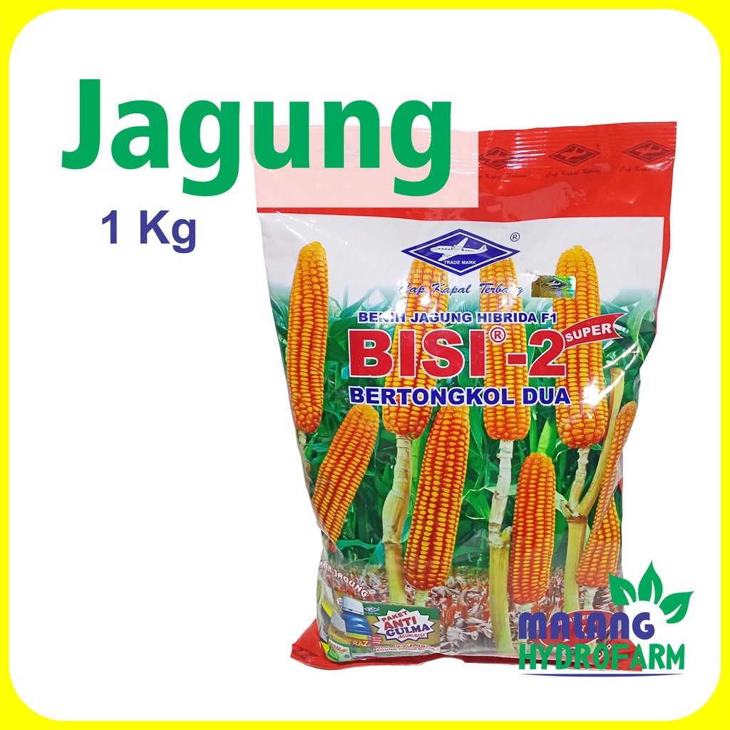Benih Jagung Bisi - 2 1 kg Cap Kapal Terbang hibrida hydroponik 18 hidroponik biji bibit super
