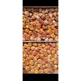 

ㅀ Kurma sukari/kurma raja ukuran 3kg HARGA TERMURAH 3088 ♚