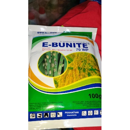 E-BUNITE