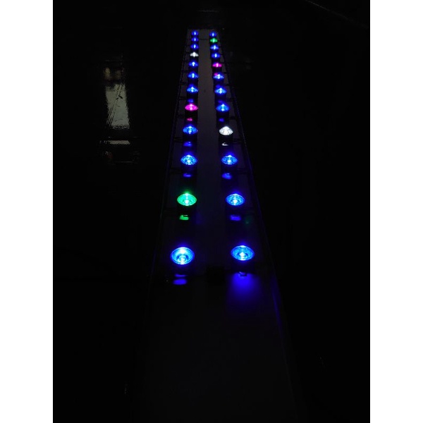 lampu anemon 75cm Dimmer 60w aquarium air laut dimmer