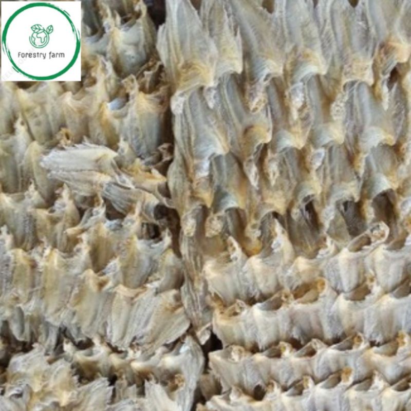 

Ikan Kering Sapat kecil