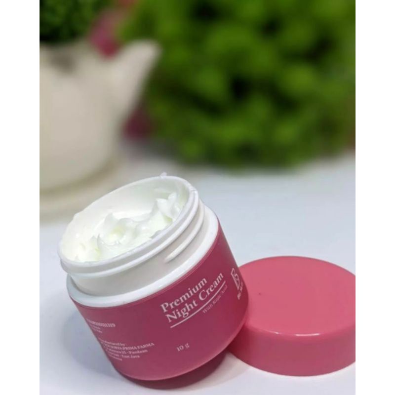 night cream bg skin glow luxury/bg skin night cream/night Ng skincare