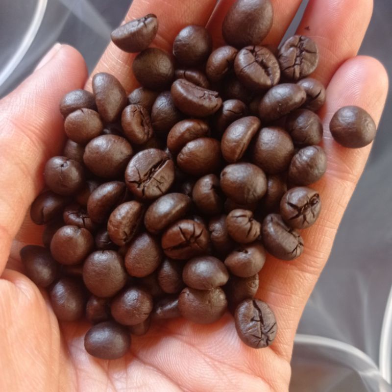 

Kopi Robusta Proses Fullwash 100gram Cibugel Sumedang Gunung Kareumbi