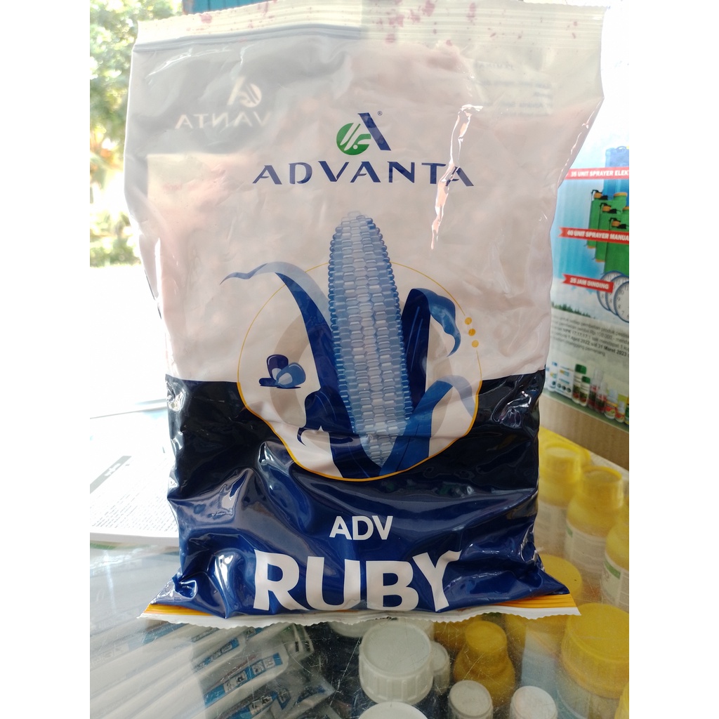 Benih Jagung ADV777 Ruby 1Kg