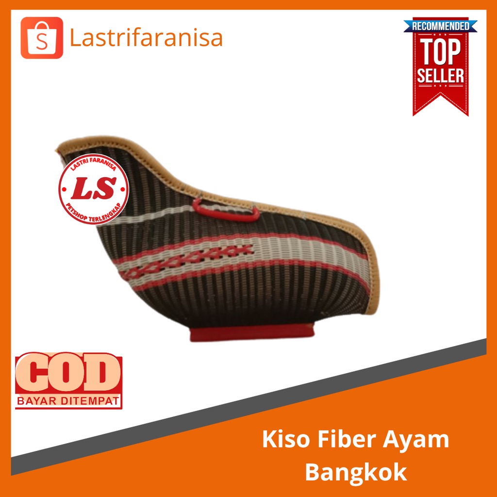 Kiso ayam kepek ayam kepek moncong kiso awet kiso murah