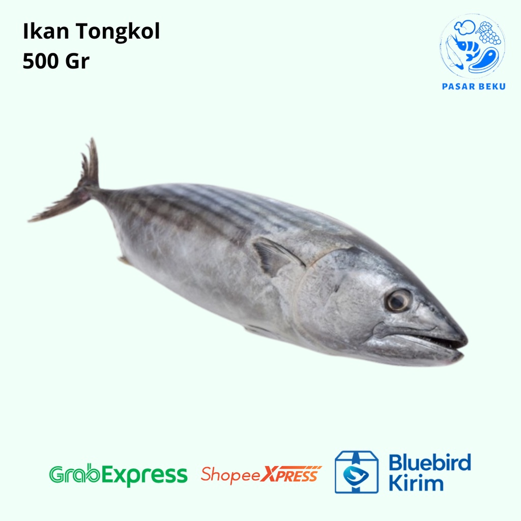 

Ikan Tongkol 500gr Ikan Potong Pure Daging Tanpa Kepala Fresh Frozen Food Pasar Beku Padang