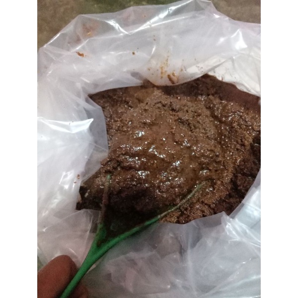 

Bumbu kelapa sangrai asli padang 2 kilo