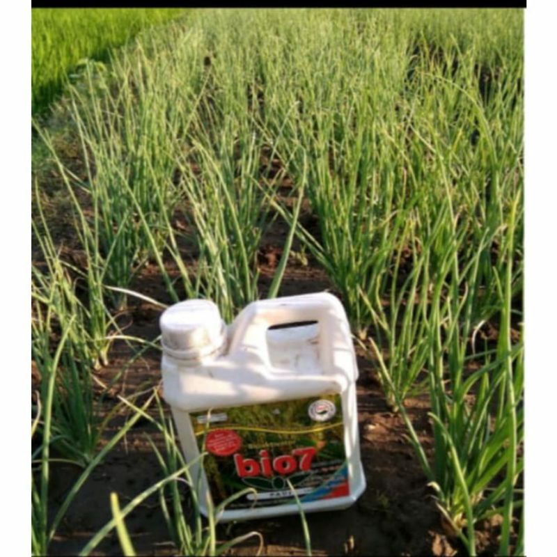 BIO7 PUPUK CAIR ORGANIK BIOAKTIFATOR ORIGINAL