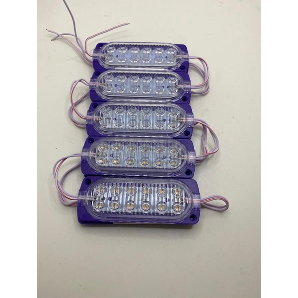 Lampu LED Module 12 Mata (2x6) 12 Volt / LED Modul 12V 2x6 Mata Besar