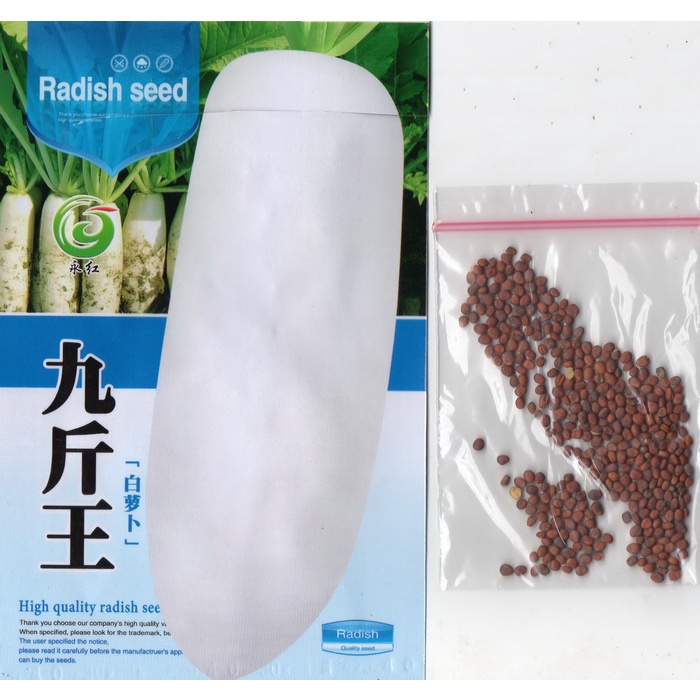 (90 Biji) Benih Lobak Putih Super (S0081)