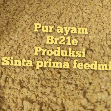 MAKANAN AYAM VOER SINTA  BR21E PUR KUNING PAKAN ANAK AYAM PEDAGING KILOAN