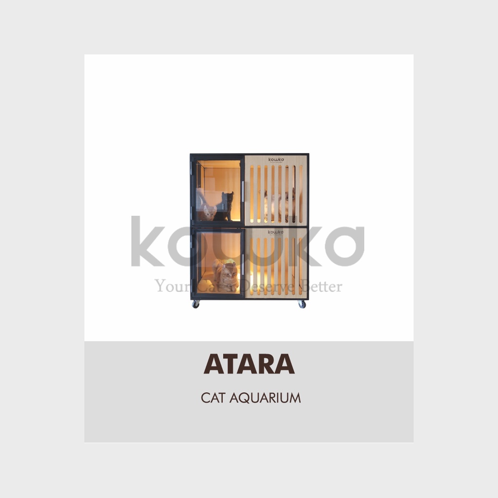 Atara | Cat Aquarium | by Kowka Indonesia