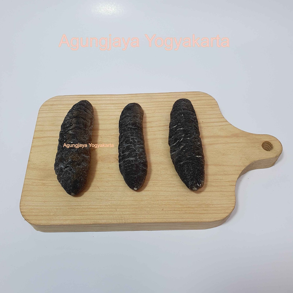 

Teripang Ogay / Hoisom Ogay / Timun Laut / Sea Cucumber / Haisom ( export Quality )