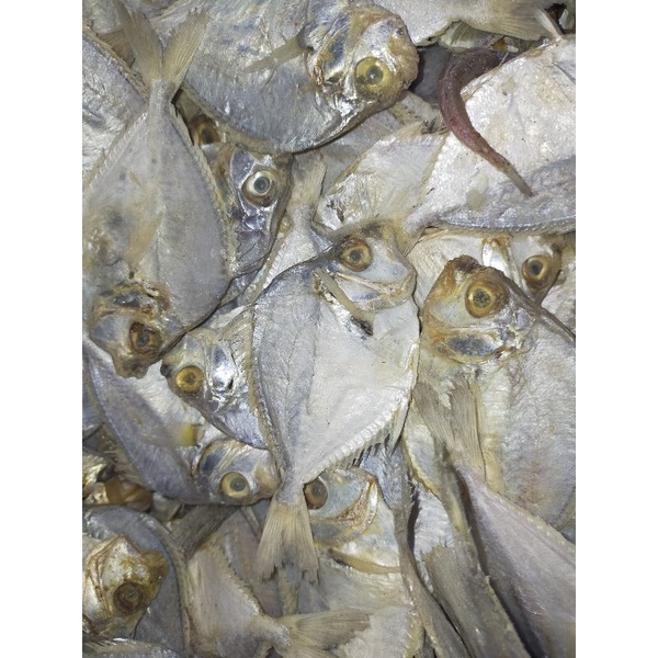 

Ikan Asin Super Gesek Petek Kemasan 100 Gram