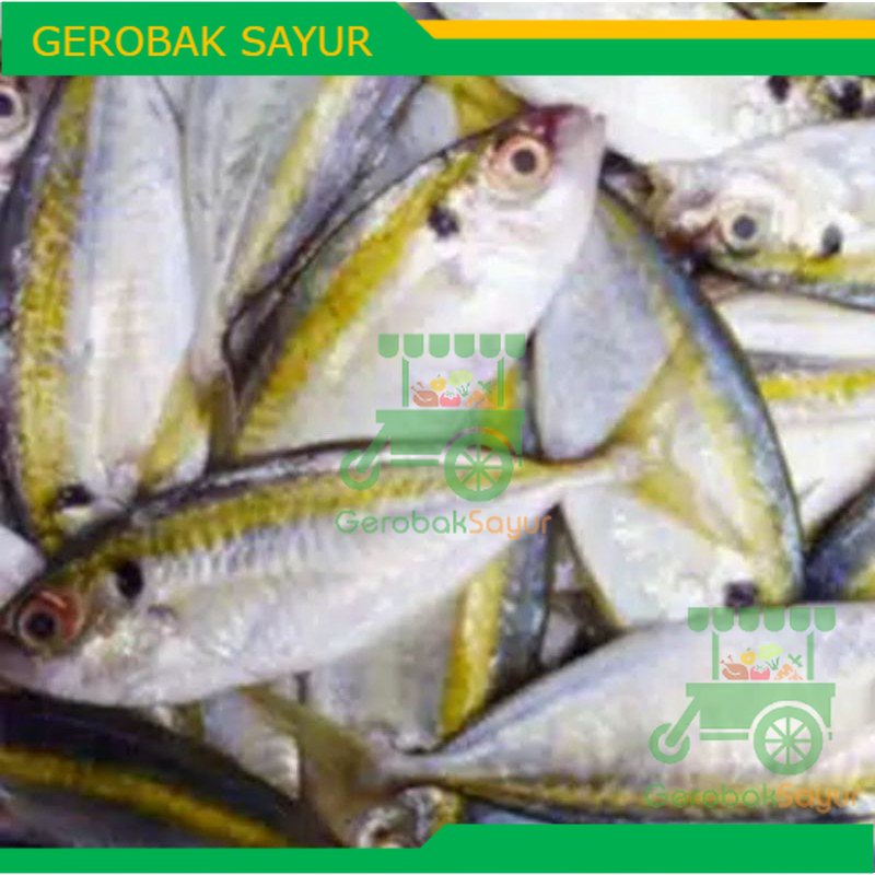 

Ikan Selar Kuning Segar Kiloan