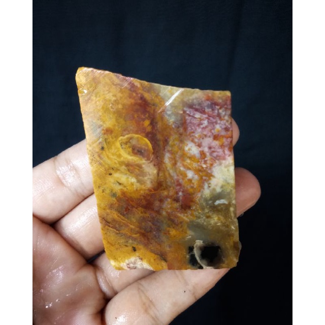 Rough Bahan Fosil Kelor Merah