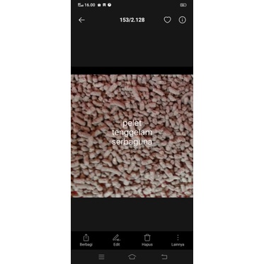 pakan ikan, pelet ikan nila, bawal, patin, lele