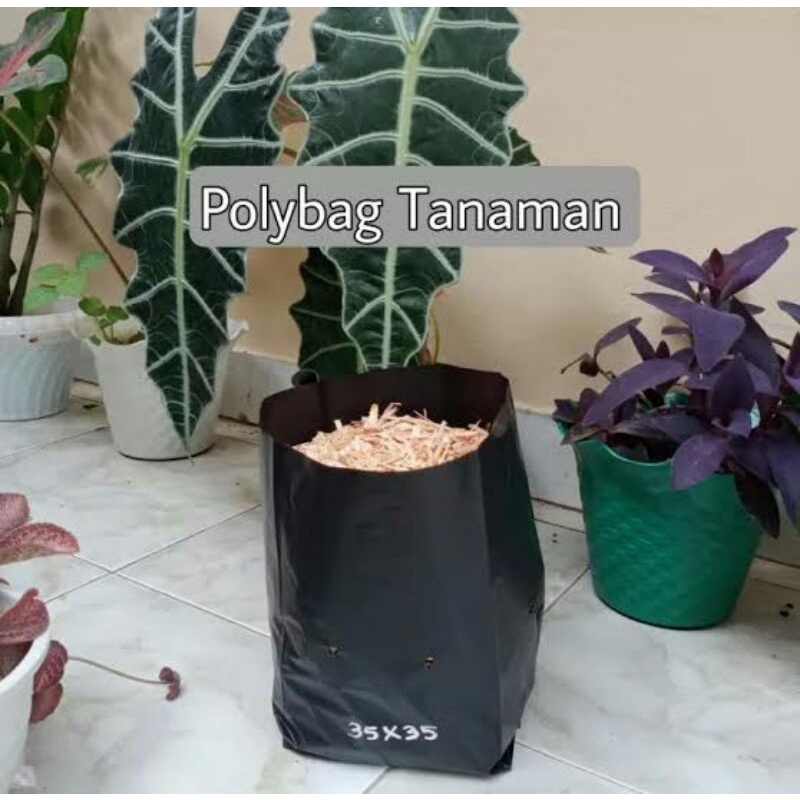 Plastik Polybag / Polibag Tanaman Murah Ukuran 35 x 35