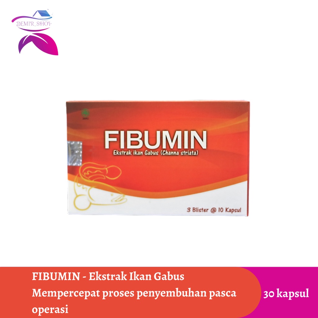 Fibumin Kapsul Ekstrak Ikan Gabus Albumin