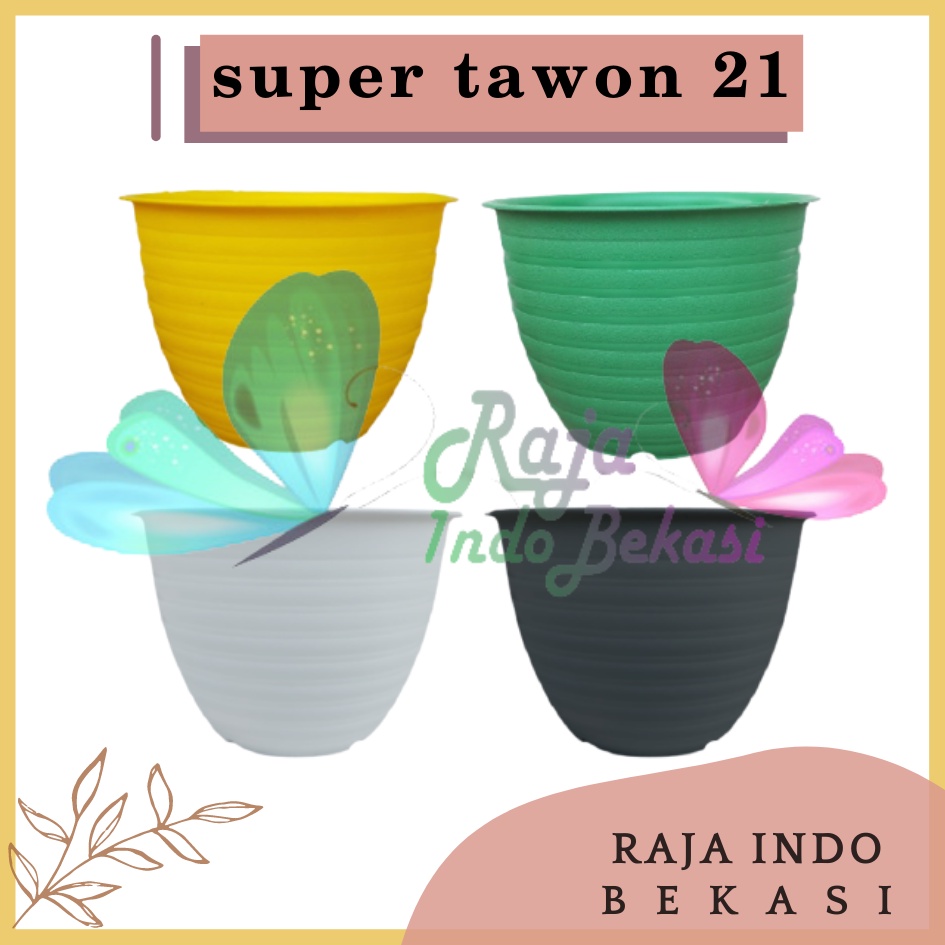 POT 18 dan 21 TANAMAN BUNGA TAWON PUTIH WARNA DAN TRANSPARAN PROMO TERMURAH