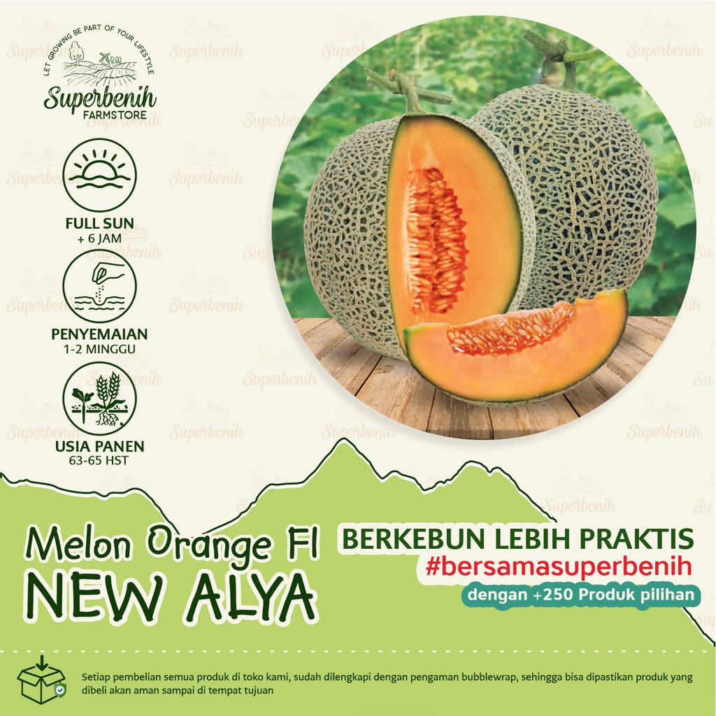 2 Biji - Benih Melon NEW ALYA F1