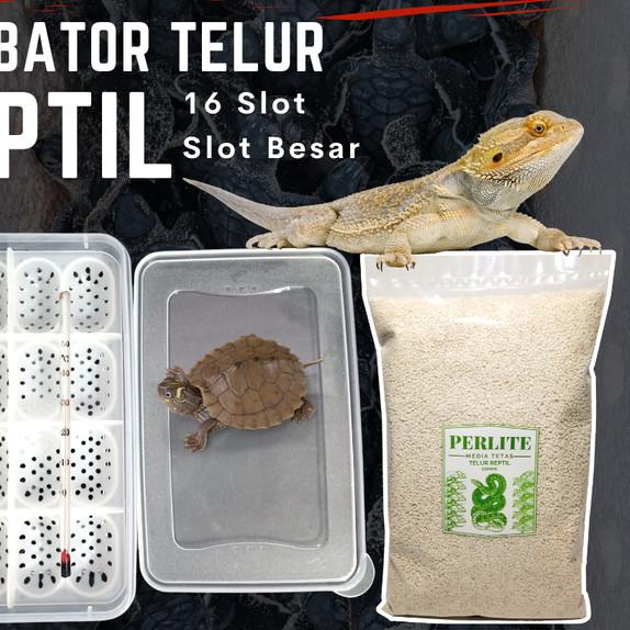 Inkubator Reptil Telur Incubator Egg Gecko Ular Kura Kadal Reptile Egg - Incubator saja