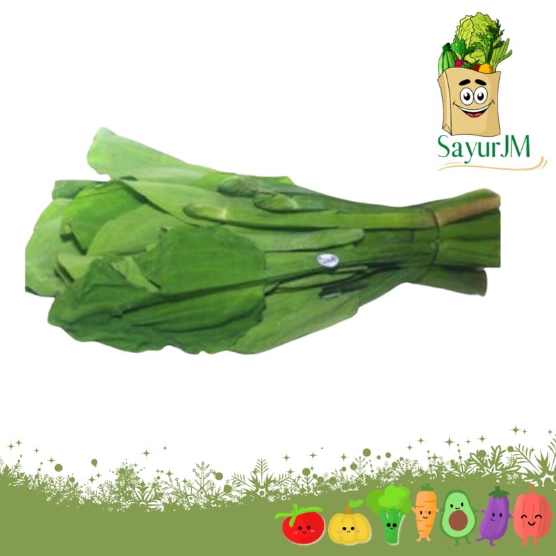 

SayurJM Sayur Genjer Per ikat / Sayur Segar / Sayuran Segar / Sayur Murah