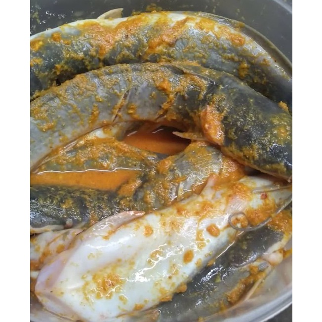 

Ikan Lele Segar Free Bumbu