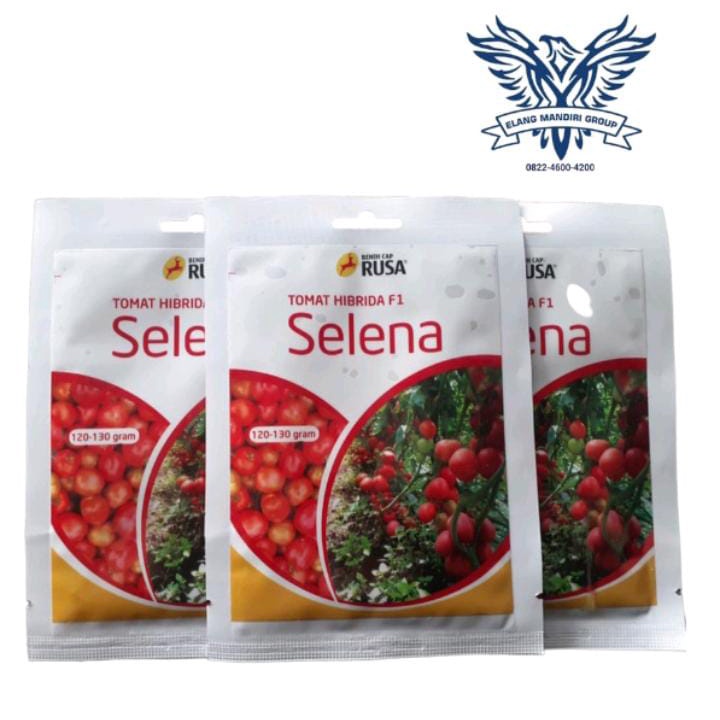 Benih Bibit Tomat Selena - 10 Gram Cap Rusa