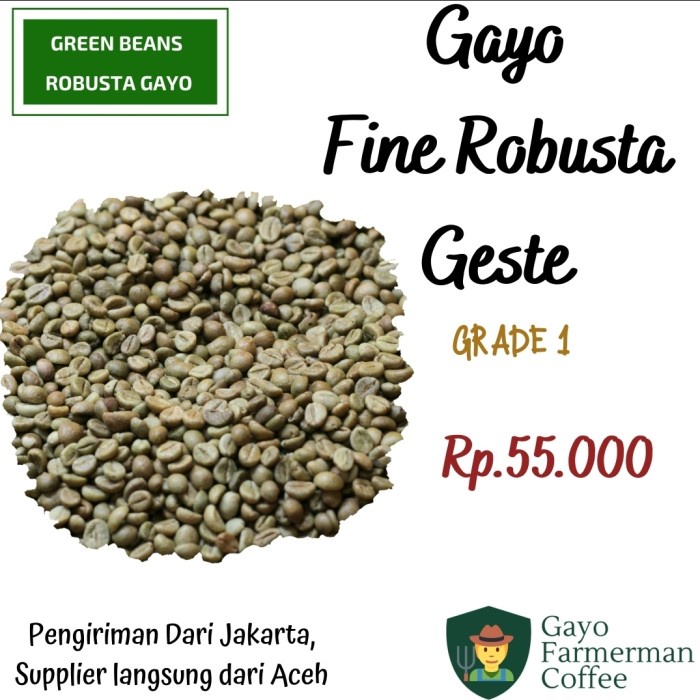 

TERBARU Green Bean Kopi GAYO FINE ROBUSTA GESTE Natural Process Gayo Farmerman /KOPI RUBE/KOPI