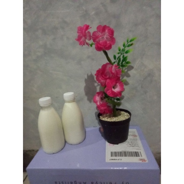 

susu kambing