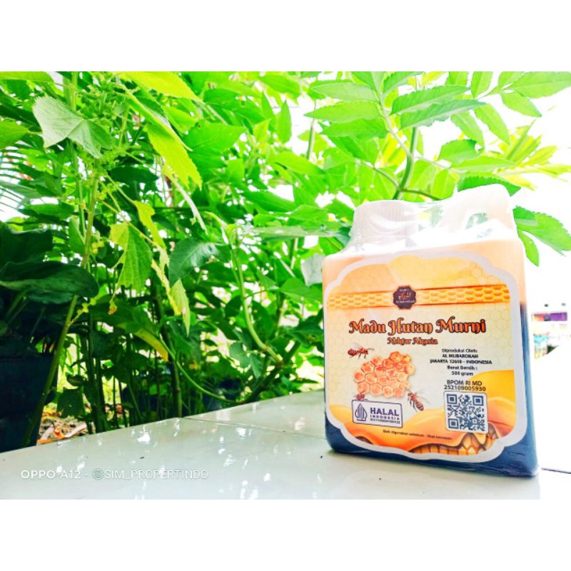 

madu hutan murni 100% ekstrak nektar akasia