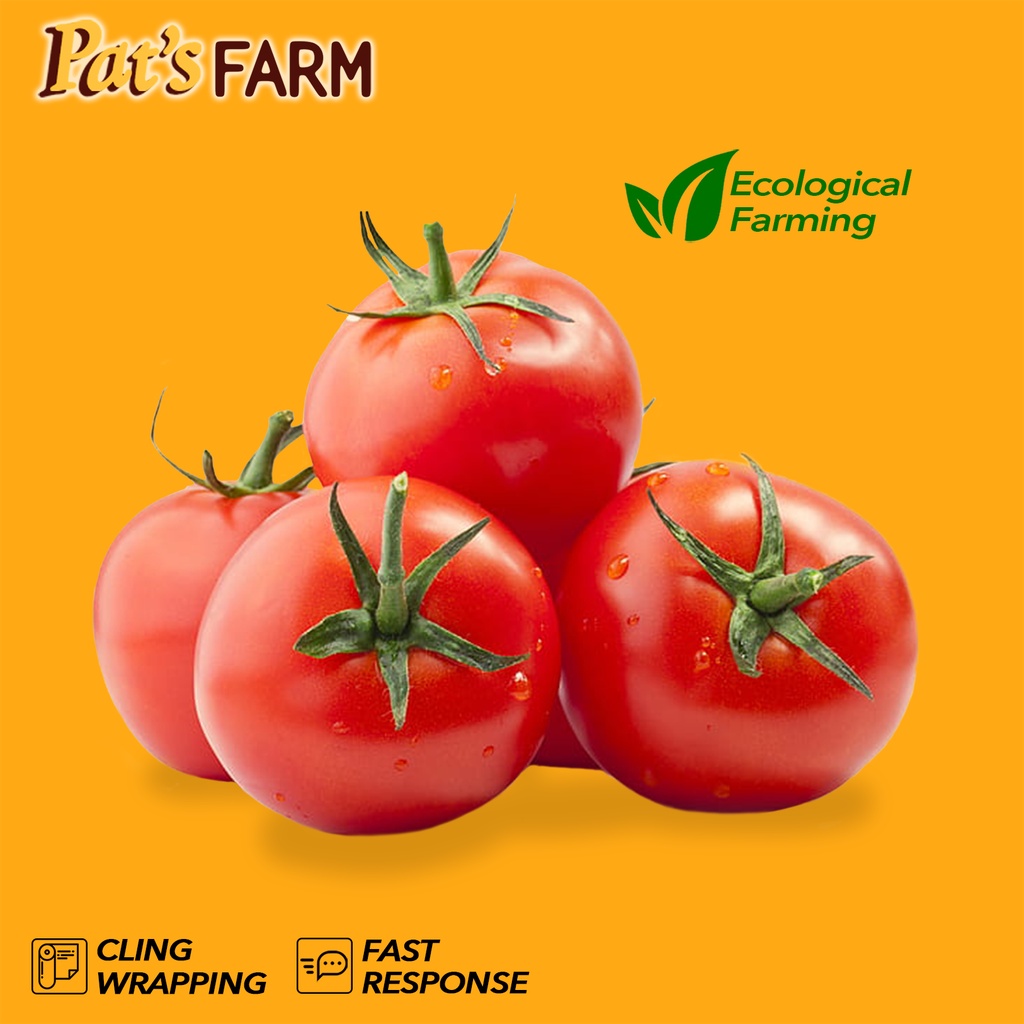 

Tomat Merah (Servo) / Tomat Sayur