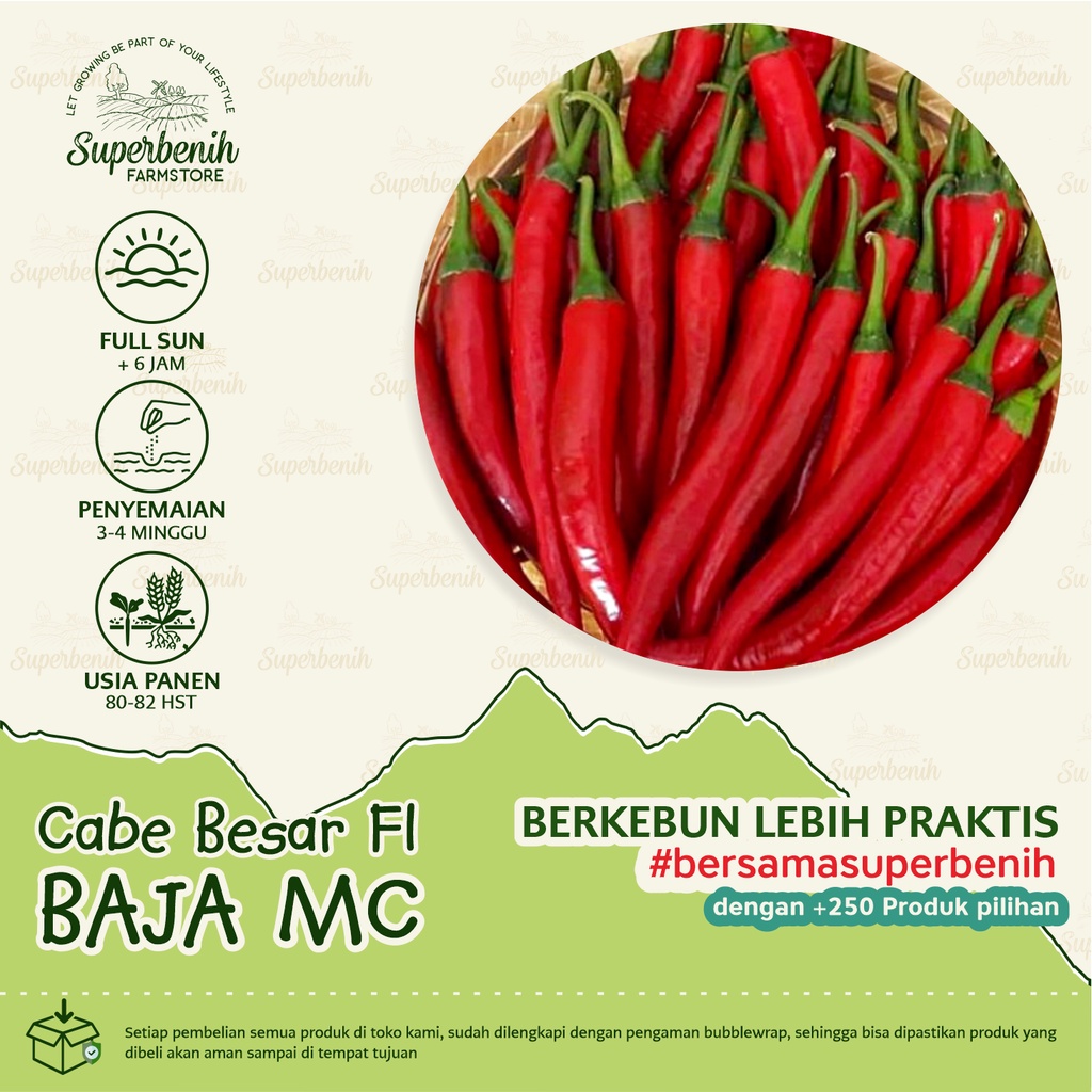 15 biji - Benih CABE MERAH BESAR hibrida