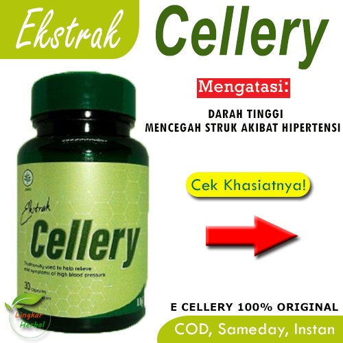 E Cellery Obat Darah Tinggi Hipertensi Ekstrak Cellery Kapsul Herbal