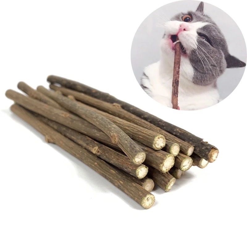 ORIGINAL 100% CATNIP BATANG MURNI BERAROMATIK EFEK PENENANG DAN MENIMBULKAN KEBAHAGIAAN SI KUCING